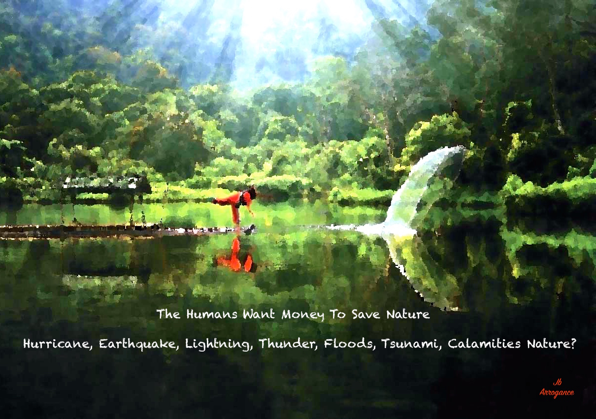 Nature Jb Canvas 2