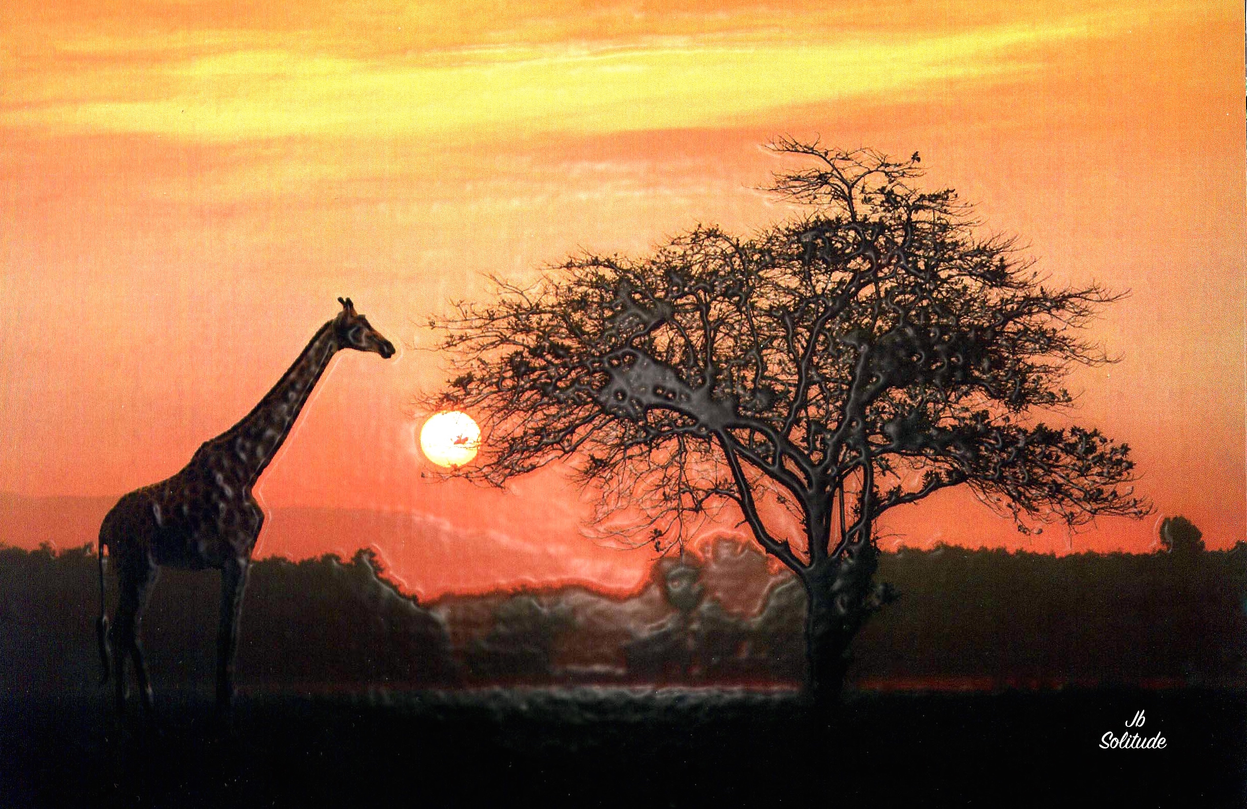 Solitude Jb. Canvas